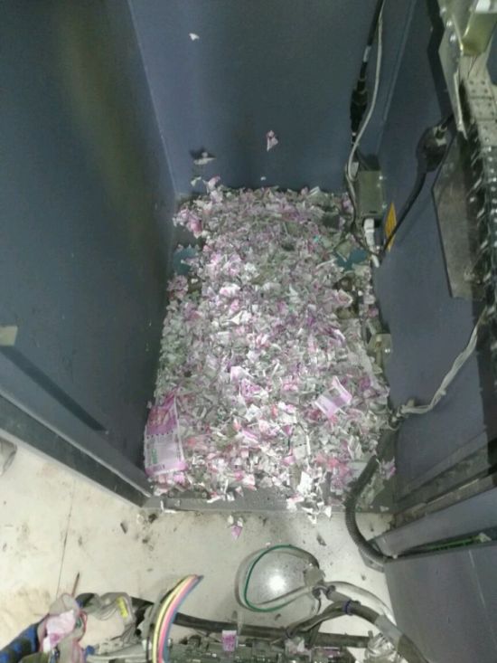 В Индии крысы уничтожили более миллиона рупий (2 фото)