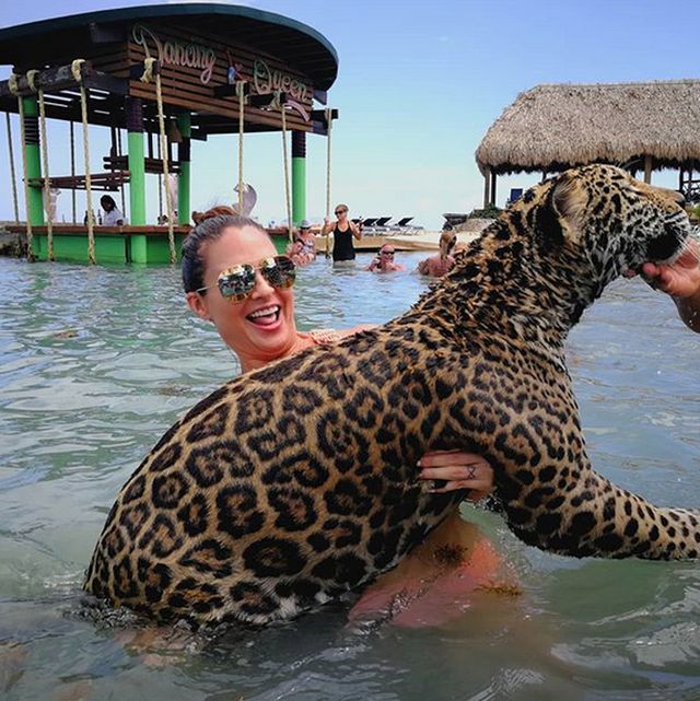 Купание с ягуарами в Карибском море (12 фото)