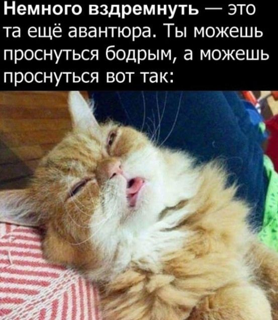 Подборка картинок. Вечерний выпуск (28 фото)