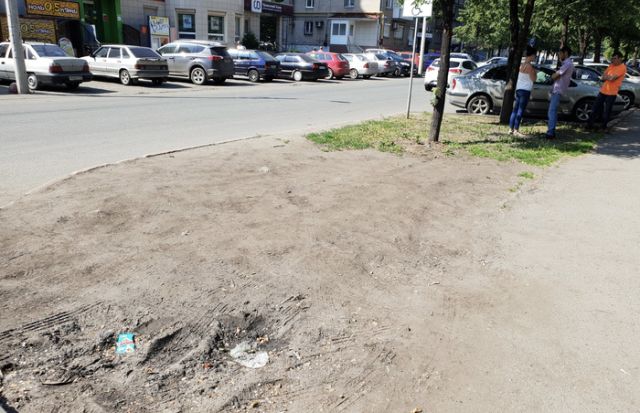 Житель Челябинска облагородил газон возле дома (5 фото)