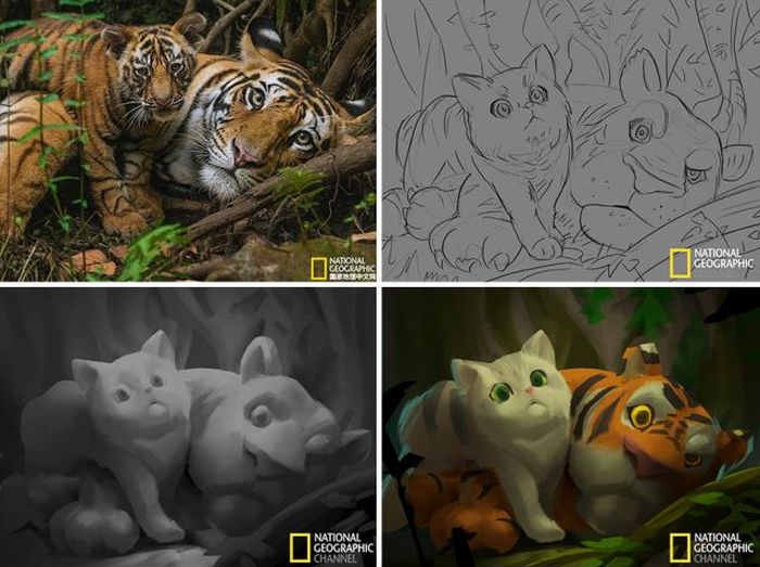 Рисунки по мотивам фотографий от National Geographic (11 картинок)