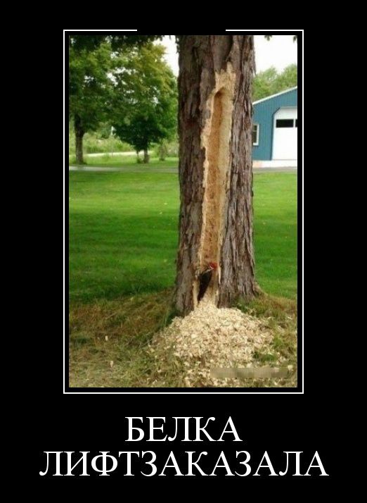Демотиваторы (30 фото)