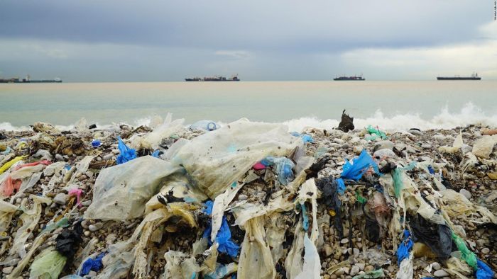 Пляжи Бейрута, заваленные мусором (7 фото)