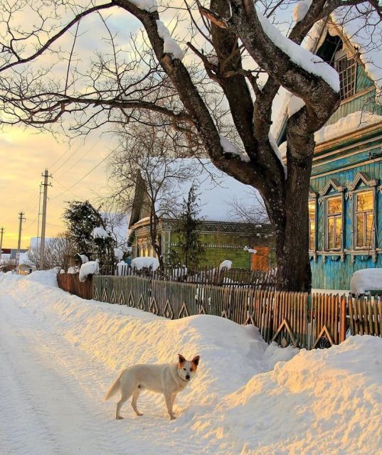 Фотографии русской деревни, которые вызывают ностальгию (25 фото)