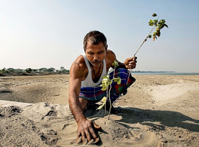 Житель Индии превратил умирающий остров в густой лес (13 фото)