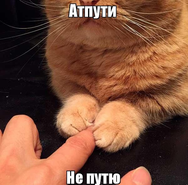 Учительница младших классов (3 фото) Учительница младших классов (3 фото)