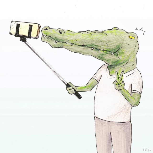 Проблемы крокодилов, живущих среди людей (25 картинок)