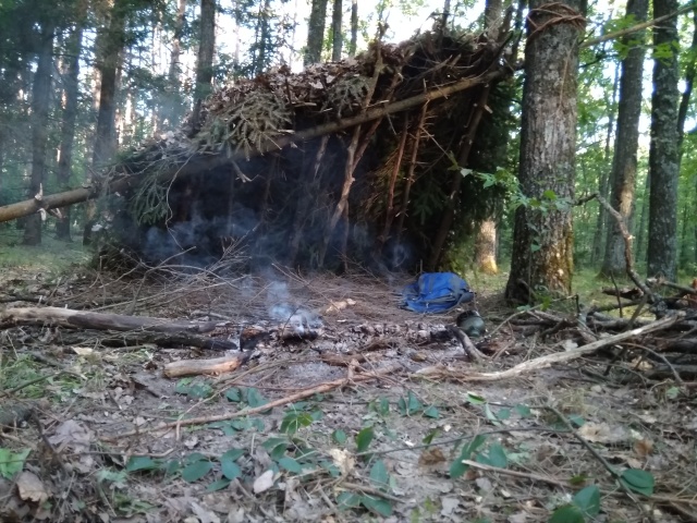 Выживание в лесу на протяжении 5 дней с минимальным снаряжением (11 фото)