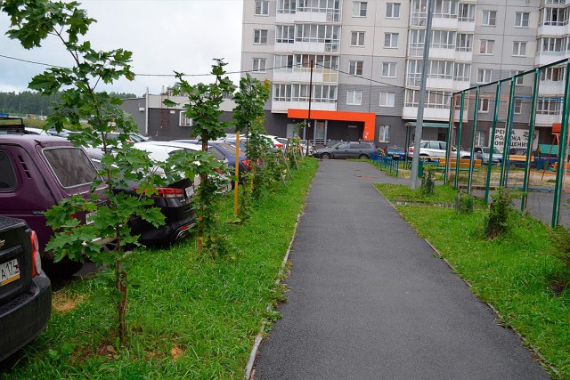 Программист из Челябинска смог превратить унылый двор в лучший двор района (14 фото)