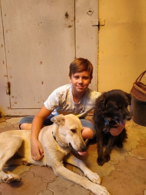 Мальчик своими силами собрал деньги на лечение больной собаки (3 фото)