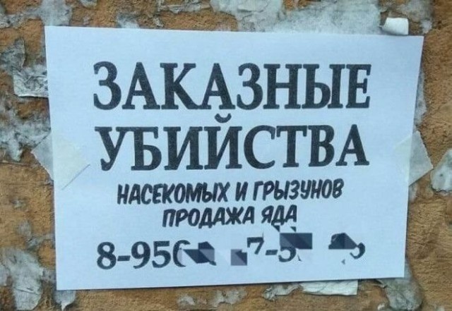 Забавные и странные объявления с наших улиц (22 фото)