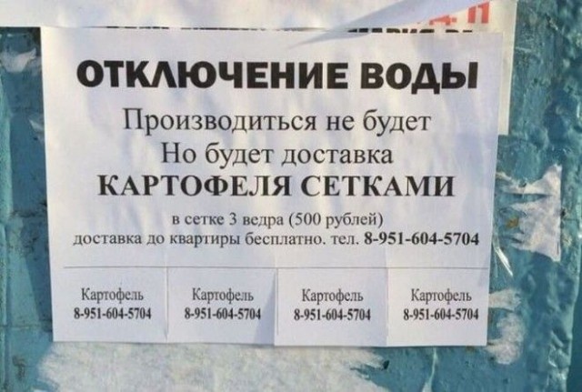Забавные и странные объявления с наших улиц (22 фото)
