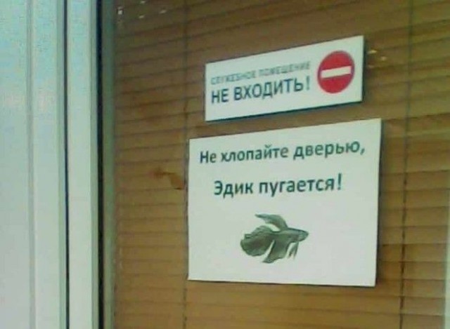 Забавные и странные объявления с наших улиц (22 фото)