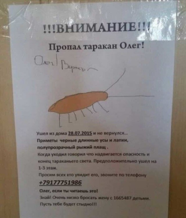 Забавные и странные объявления с наших улиц (22 фото)
