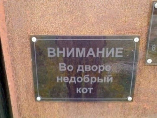 Забавные и странные объявления с наших улиц (22 фото)