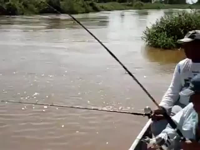 Рыбаки не собираются делиться своим уловом