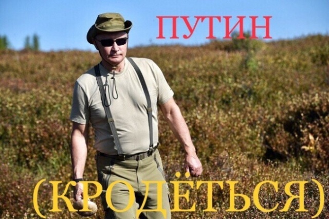 Фотожабы: Владимир Путин отдыхает на природе (15 фото)