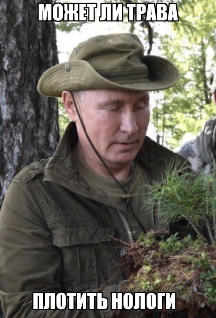 Фотожабы: Владимир Путин отдыхает на природе (15 фото)