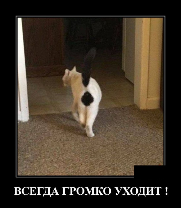 Демотиваторы (30 фото)