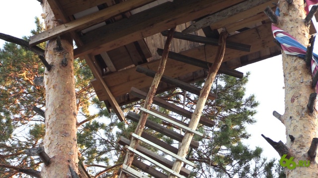 Пенсионер построил себе дом на вершинах сосен на чужом земельном участке (6 фото + видео)