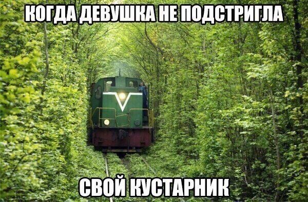 Смешные картинки (20 фото)