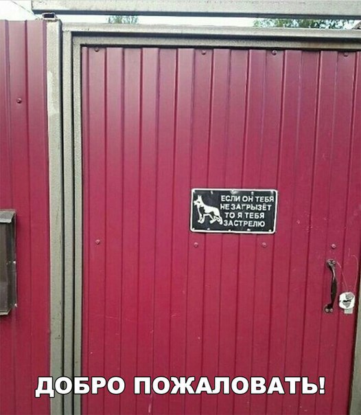 Смешные картинки (20 фото)