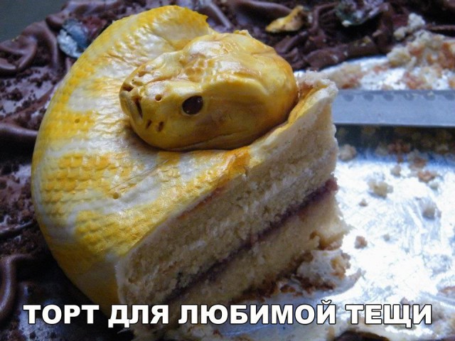 Смешные картинки (20 фото)