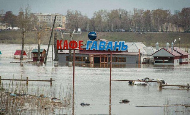 Смешные картинки (20 фото)