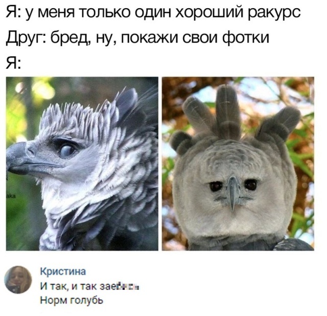 Смешные картинки (20 фото)
