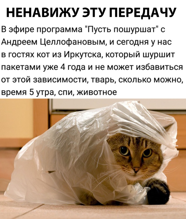 Смешные картинки (20 фото)