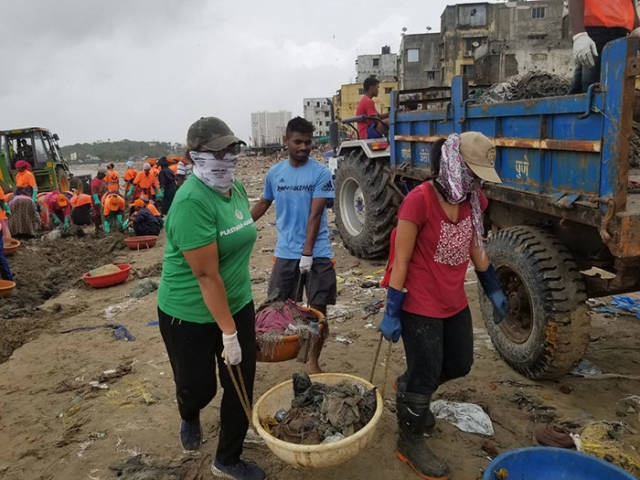 На очищенный от мусора пляж в Мумбаи вернулись черепахи (11 фото)