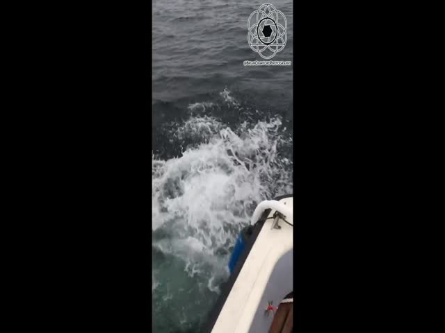 Рыбак не захотел отпускать сорвавшуюся с крючка рыбу