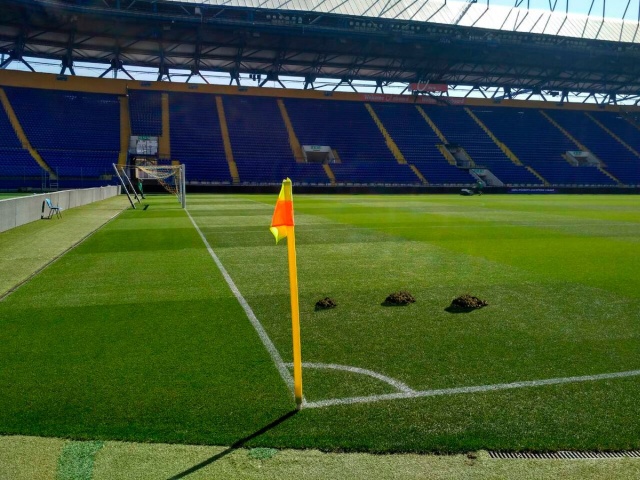 Кроты испортили газон на стадионе "Шахтера" (2 фото)