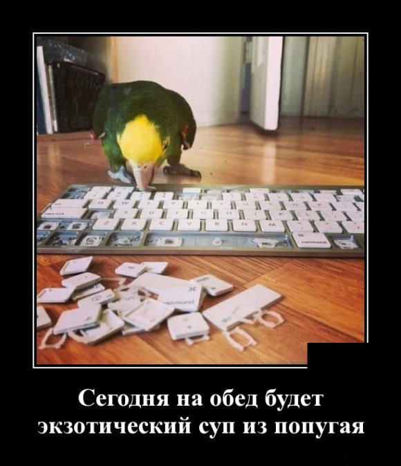Демотиваторы (30 фото)
