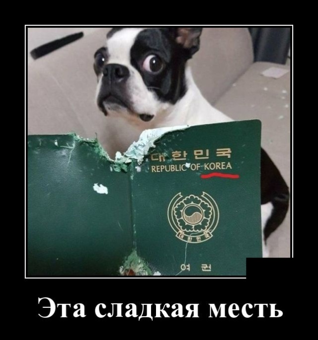 Демотиваторы (30 фото)