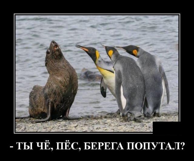 Демотиваторы (30 фото)
