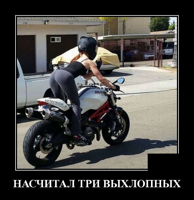 Демотиваторы (30 фото)