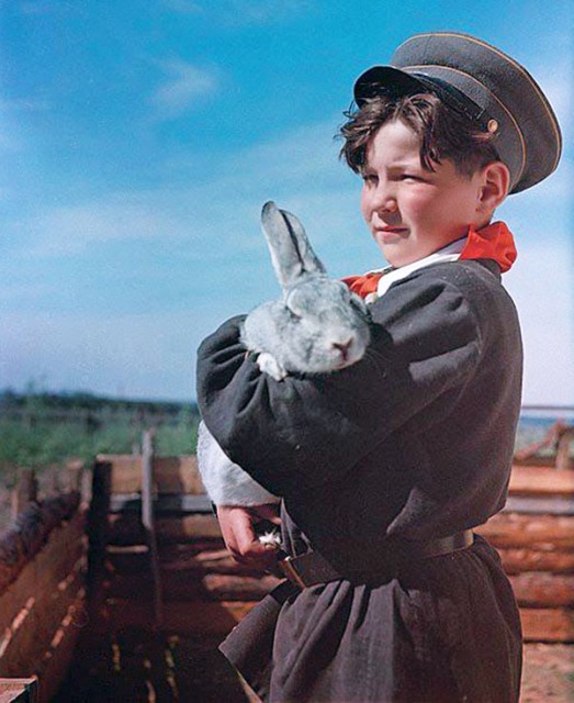 Детские секции и кружки времен Советского Союза (20 фото)