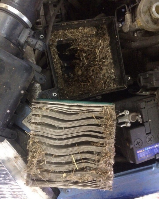 Владелец пригнал Ниву на СТО с жалобами на отсутствие тяги двигателя (3 фото)