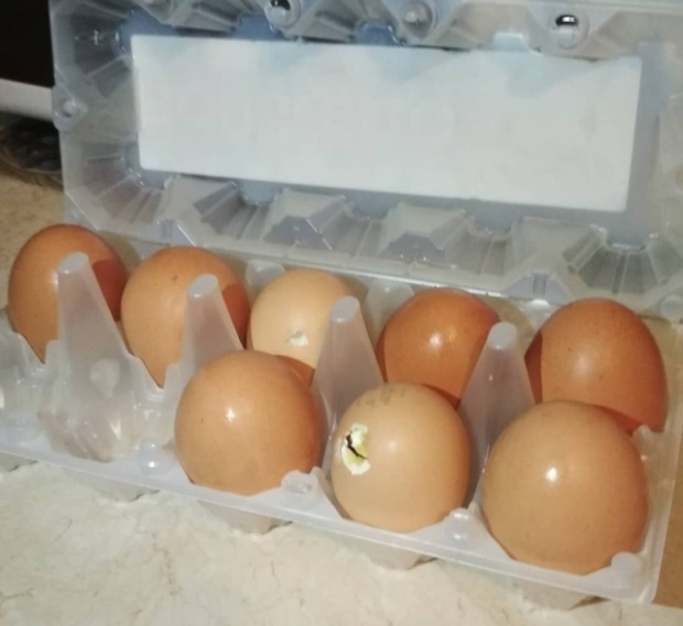 Молодая пара из Москвы купила яйца в магазине... (4 фото + 2 видео)