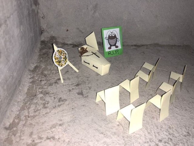 История одного мертвого таракан на лестнице (12 фото)