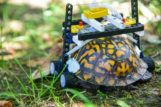 "Инвалидная коляска" для черепахи из конструктора LEGO (5 фото)