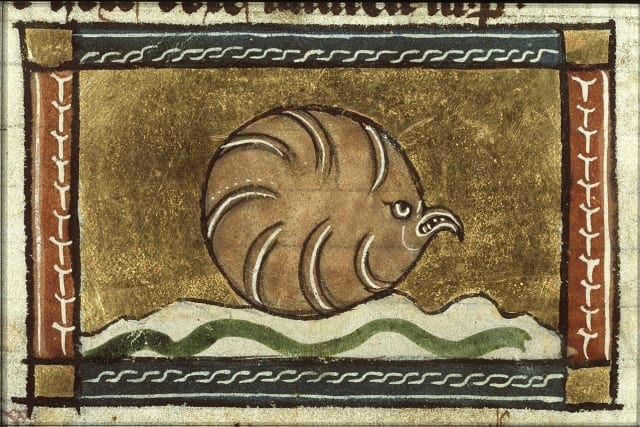 Экзотические животные на рисунках средневековых художников (12 фото)