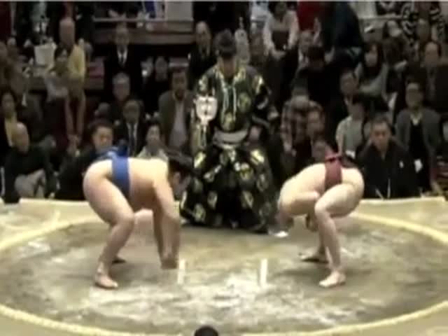 Хитрый борец сумо обманул своего оппонента