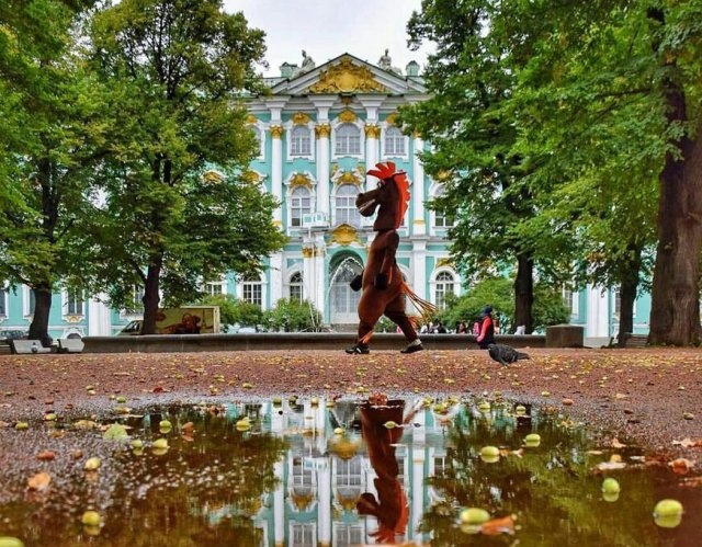 Типичный Санкт-Петербург (31 фото)