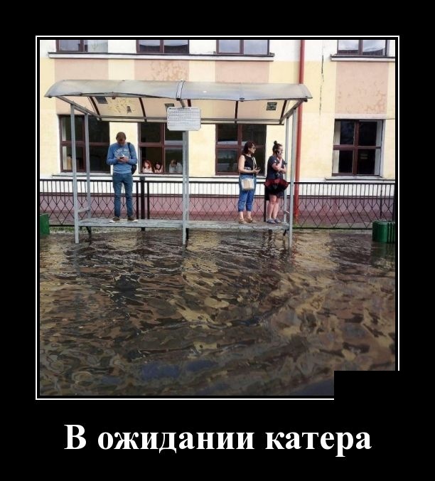 Демотиваторы (30 фото)