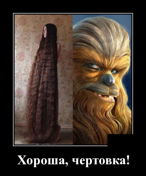 Демотиваторы (30 фото)