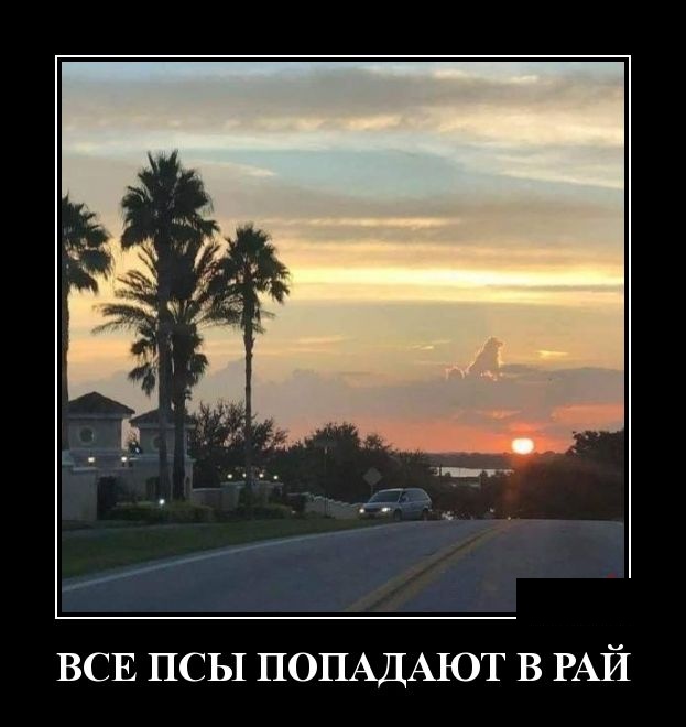 Демотиваторы (30 фото)