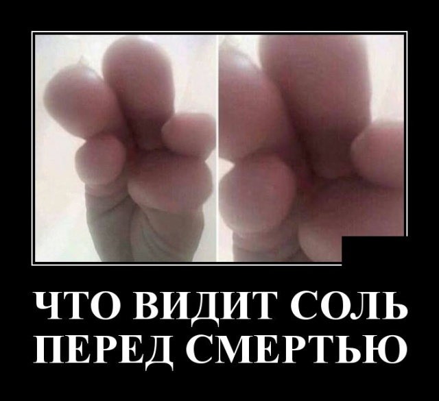 Демотиваторы (30 фото)