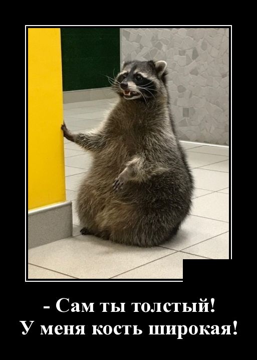 Демотиваторы (30 фото)